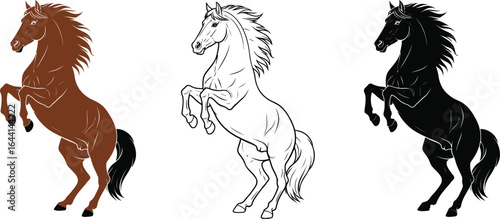 Three horses rearing up vector illustration drawing art