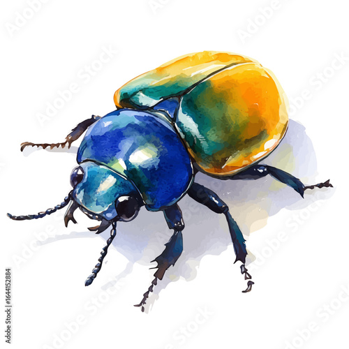 Dung Beetle, watercolor drawing vector, isolated on a white background.