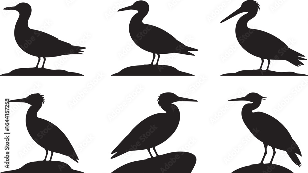 Fototapeta premium Silhouette Cormorant Collection Vector Illustration Set Standing Isolated Design