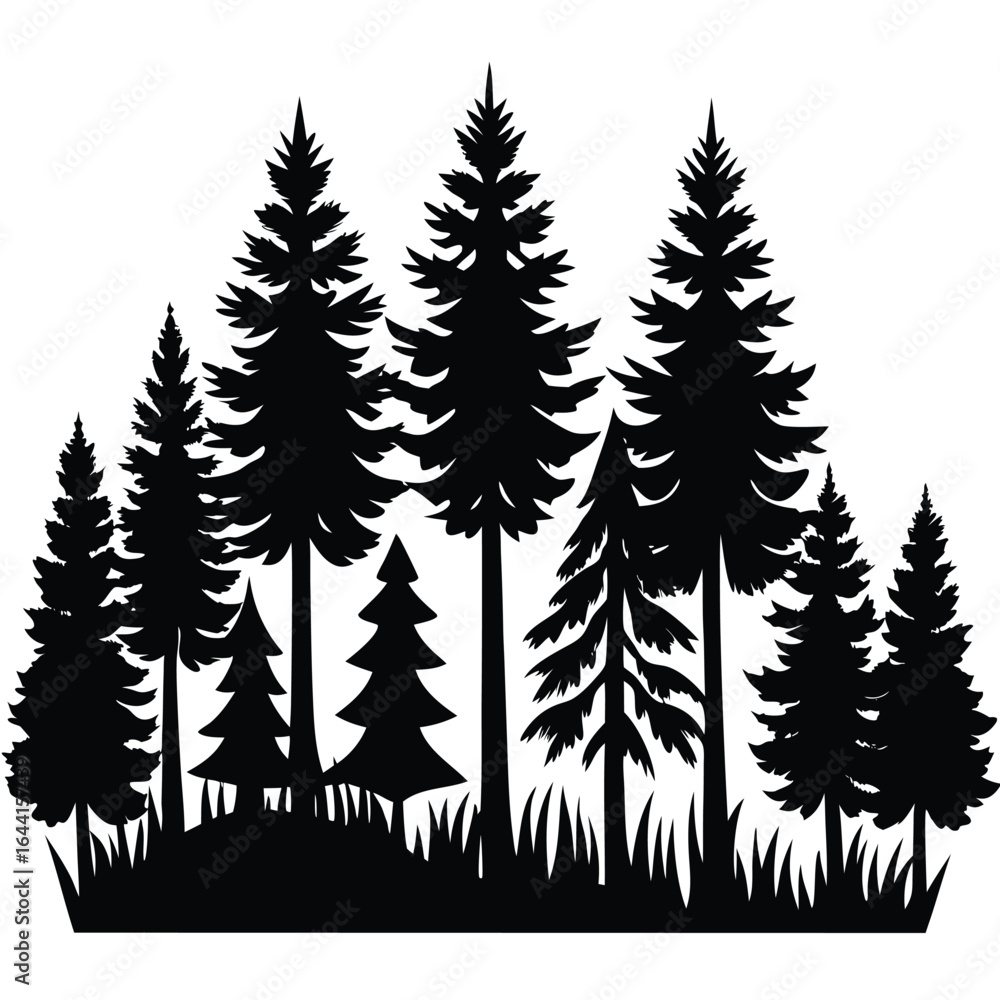 Fototapeta premium Evergreen forest silhouette trees pine trees
