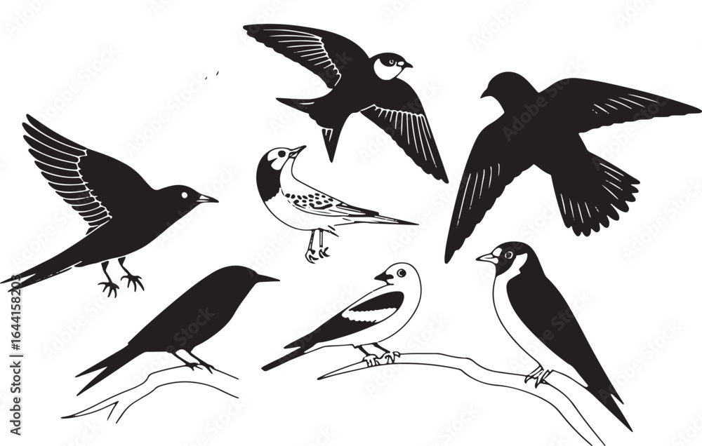 Obraz premium Bird Silhouettes Vector Set Diverse Avian Species Flying Perching Wildlife Illustration