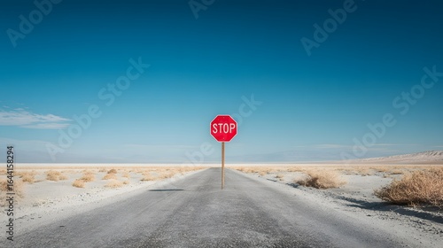 Empty road stretches out beneath a stop sign in a vast, arid landscape.