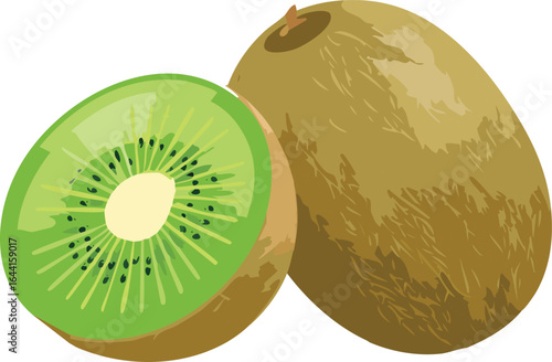 kiwi fruit on white background