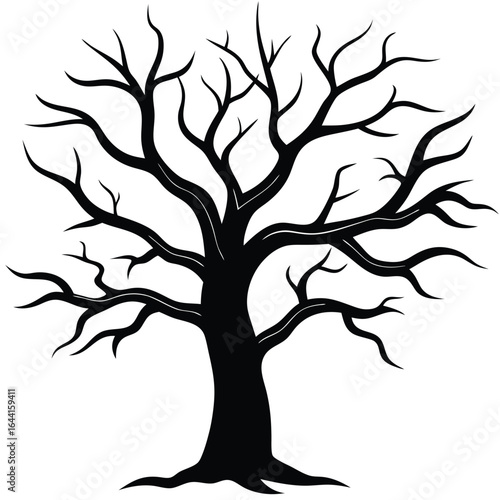 Bare tree silhouette black white