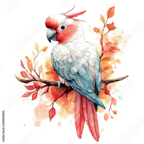watercolor vector of Cockatoo, isolated on a white background.