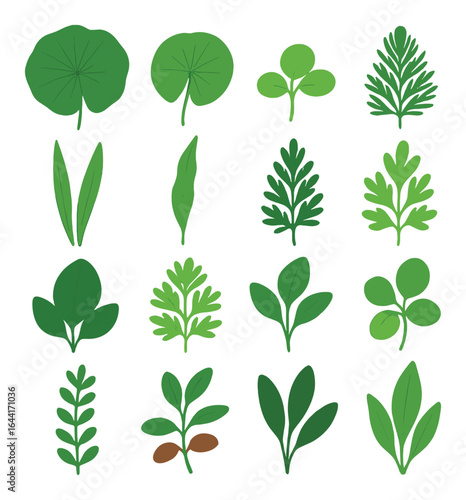 Green leaves varieties with different shapes on light green background