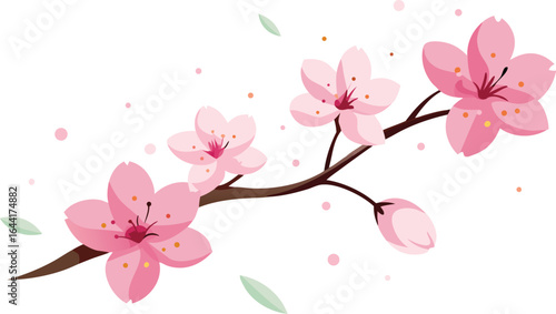 Beautiful pink cherry blossom branch with flowers isolated on white background