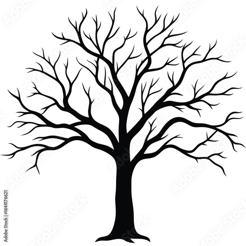 Black Silhouette of a Bare Deciduous Tree with Intricate Branches on White background