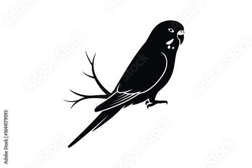Black silhouette of a budgerigar bird with bare branches on white animal