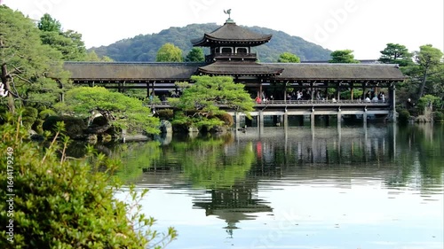 日本、京都、平安神宮、神苑、桜、花、庭園、春、歷史名勝、綠色、風景、青空、春、写真素材	