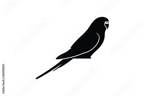 Silhouette of a budgerigar bird perched on a white background animal