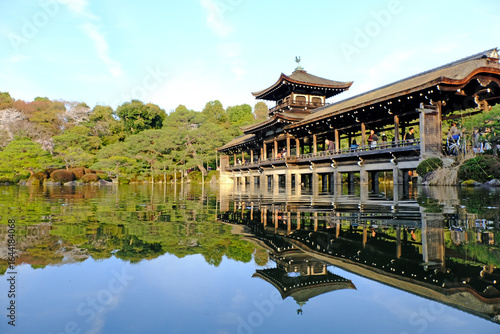 日本、京都、平安神宮、神苑、桜、花、庭園、春、歷史名勝、綠色、風景、青空、春、写真素材	
