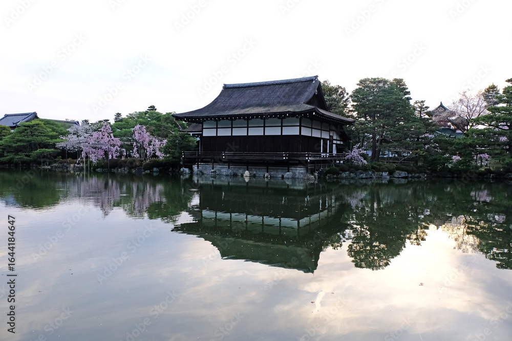 Fototapeta premium 日本、京都、平安神宮、神苑、桜、花、庭園、春、歷史名勝、綠色、風景、青空、春、写真素材