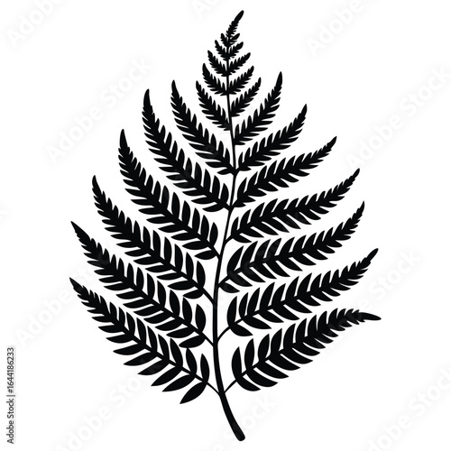 Black silhouette of a fern leaf with detailed pinnules on a white background frond plant