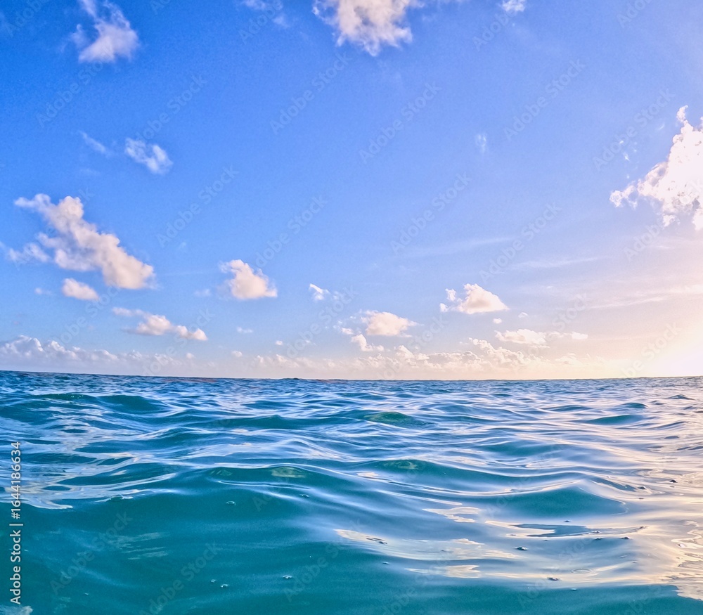 Obraz premium Sea in Barbados