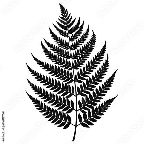 Black silhouette of a single fern frond on a white background leaf plant
