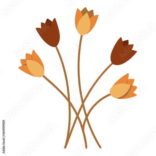 Dried Flowers on White Background
