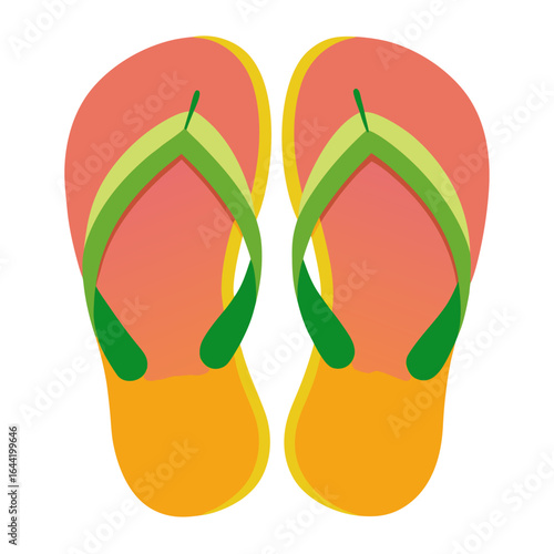 Flip Flops on White Background