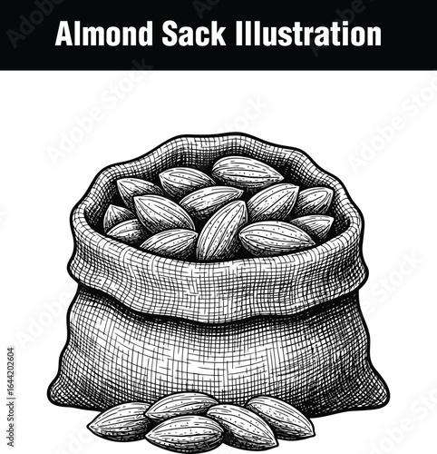 Vector art of handdrawn illustration of a burlap sack overflowing with whole almonds, with a few almonds scattered in front, isolated on a white background