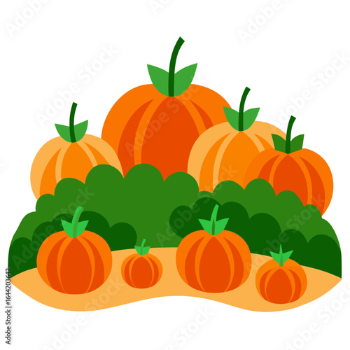 Pumpkin Patch on White Background