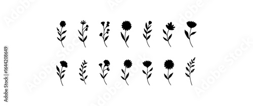Botanical Flower Icons Collection. A set of various minimalist flower silhouettes featuring clean stems, rounded petals, and organic leaf details.