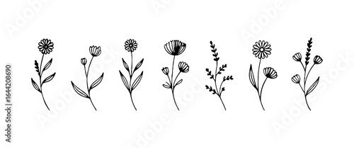 Vintage Meadow Flower Collection. A refined set of tall, slender floral illustrations with varied blossoms, elegant stems, and leafy accents.