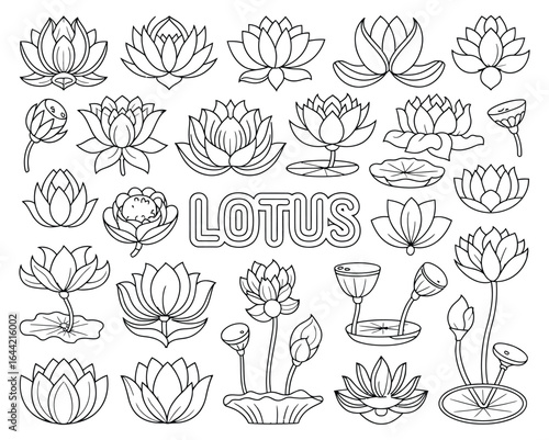 A comprehensive collection of black and white line art illustrations depicting various lotus flower designs, perfect for spiritual, wellness, and nature-themed projects.