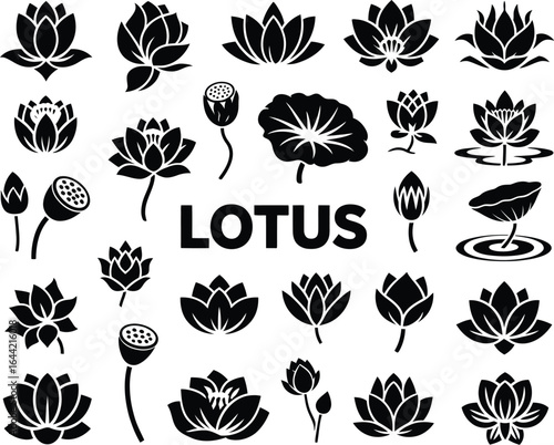 A collection of elegant black and white lotus flower illustrations, a symbol of purity and enlightenment