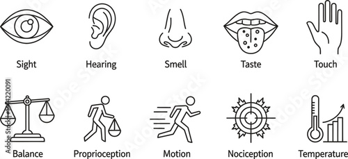 Human senses and perception diagram sensory system outline