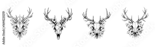 Minimalist Surreal Animal Skeleton Graphic Vector Illustration Set