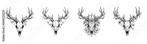 Minimalist Surreal Animal Skeleton Graphic Vector Illustration Set