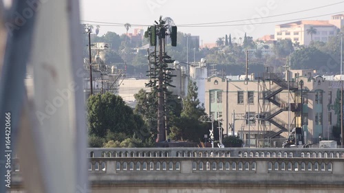 Cell Phone Tower Poorly Disguised As A Tree