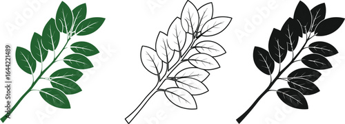 Leaf branch vector illustration design element graphic art