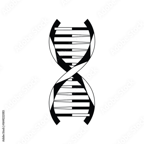 dna helix silhouette for genetics molecular biology and medical research vector
