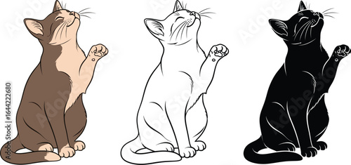 Cute cat illustration vector art design for pet lovers art