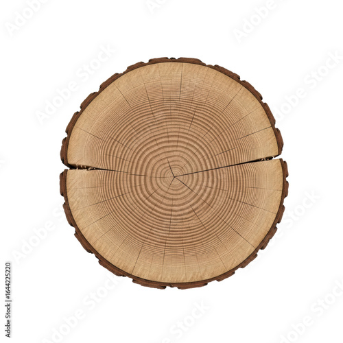 Wooden tree trunk cross-section with detailed growth rings and cracks