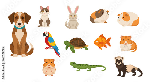Illustration of various domestic animals including dog cat rabbit guinea pig parrot turtle and more