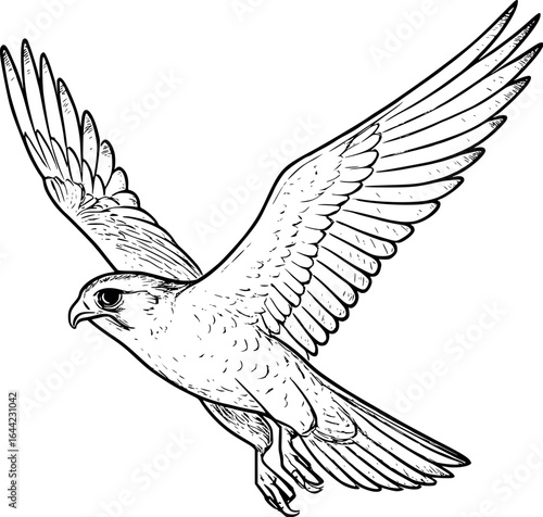 Flying falcon sketch. Speed symbol with open wings, minimalist vector illustration.