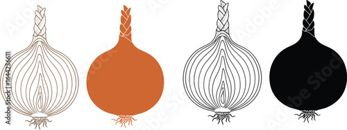 Onion vector illustration different styles and color modes