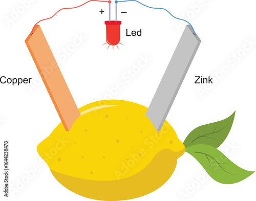 Electricity from lemon battery. Lemon battery. Zinc and copper. Anode and cathode. Free energy electricity. Electrical experiments. Education for school.Scientific diagram. Vector illustration.