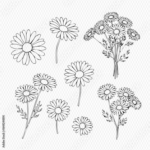 A collection of daisy flower illustrations in black and white, showcasing individual blooms and small bouquets with stems and leaves.