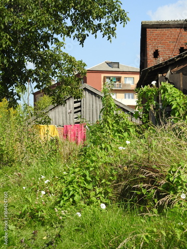 An old village yard overgrown with weeds, laundry drying on a rope