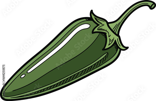 vector Illustration of a fresh green jalapeno pepper with dark outline