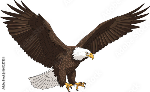 Majestic bald eagle in flight, wings spread wide, powerful predator, wildlife bird, freedom symbol, nature illustration, soaring, conservation, detailed