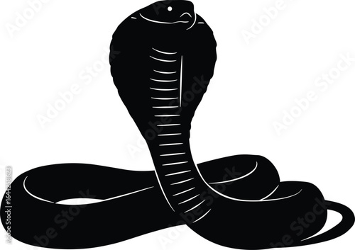 Cobra snake silhouette, coiled reptile vector, hooded cobra illustration, black dangerous animal clipart, venomous snake pose, wildlife design, serpent art