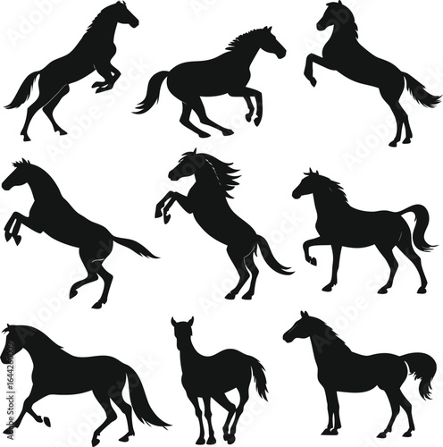 Horse silhouette bundle set vector with white background