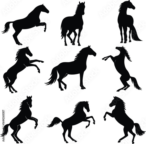 Horse silhouette bundle set vector with white background