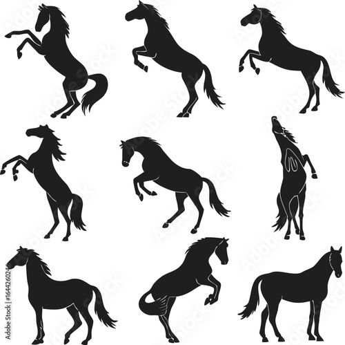 Horse silhouette bundle set vector with white background