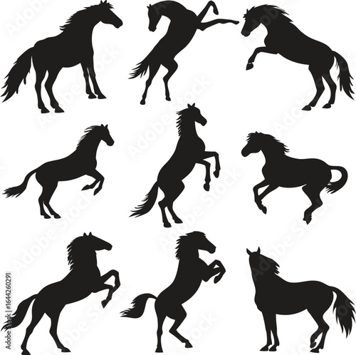 Horse silhouette bundle set vector with white background