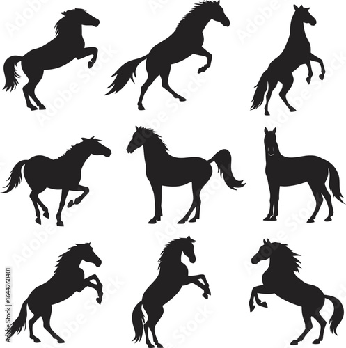 Horse silhouette bundle set vector with white background
